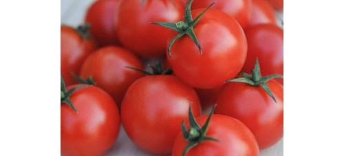 Tomato 1KG