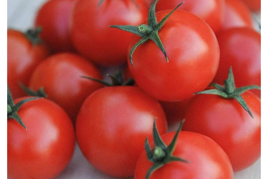 1kg tomato Buy Tomato/Tamaatar